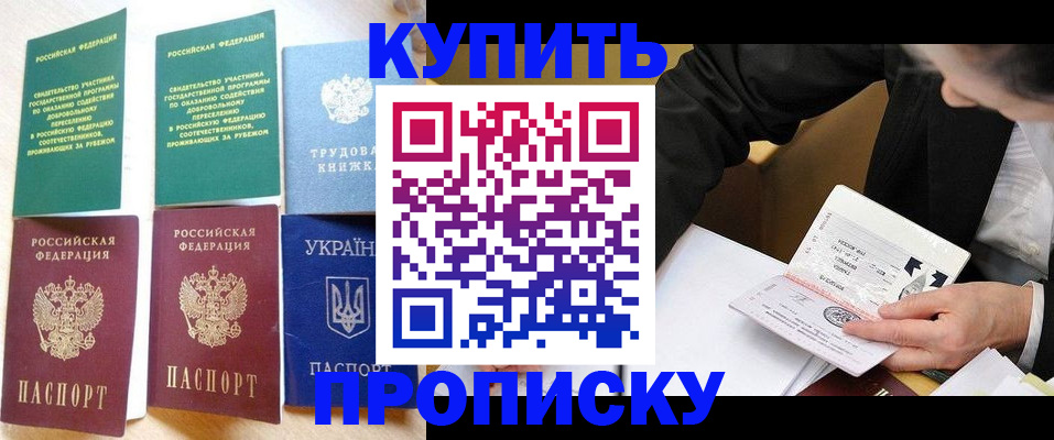 прописка для школы в Электростали